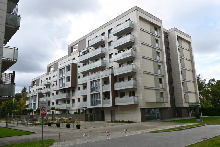 Obraz 4